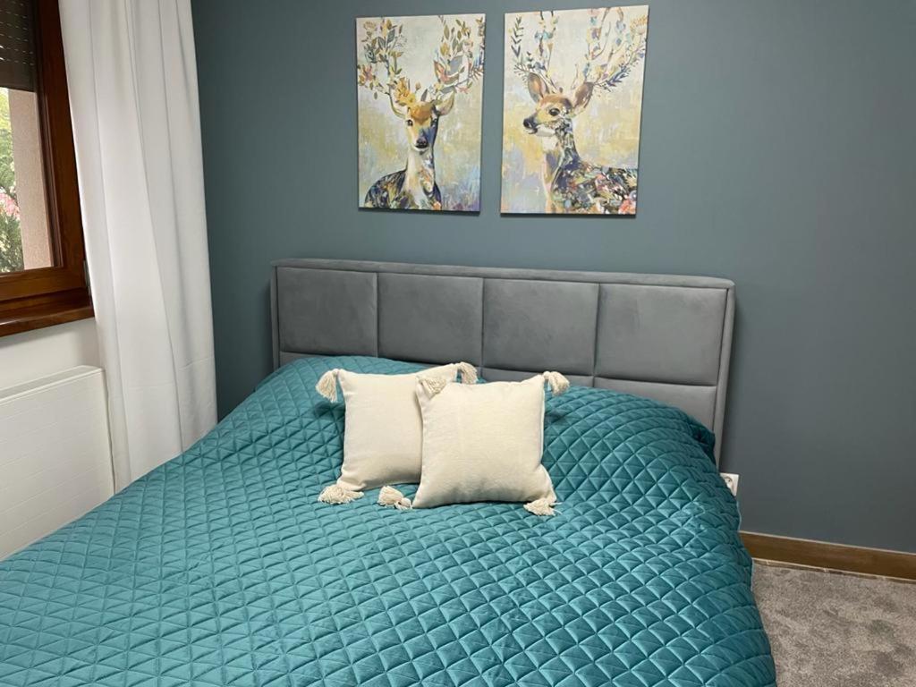 Apartament Sosnowy Zakatek Gliwice Exterior foto